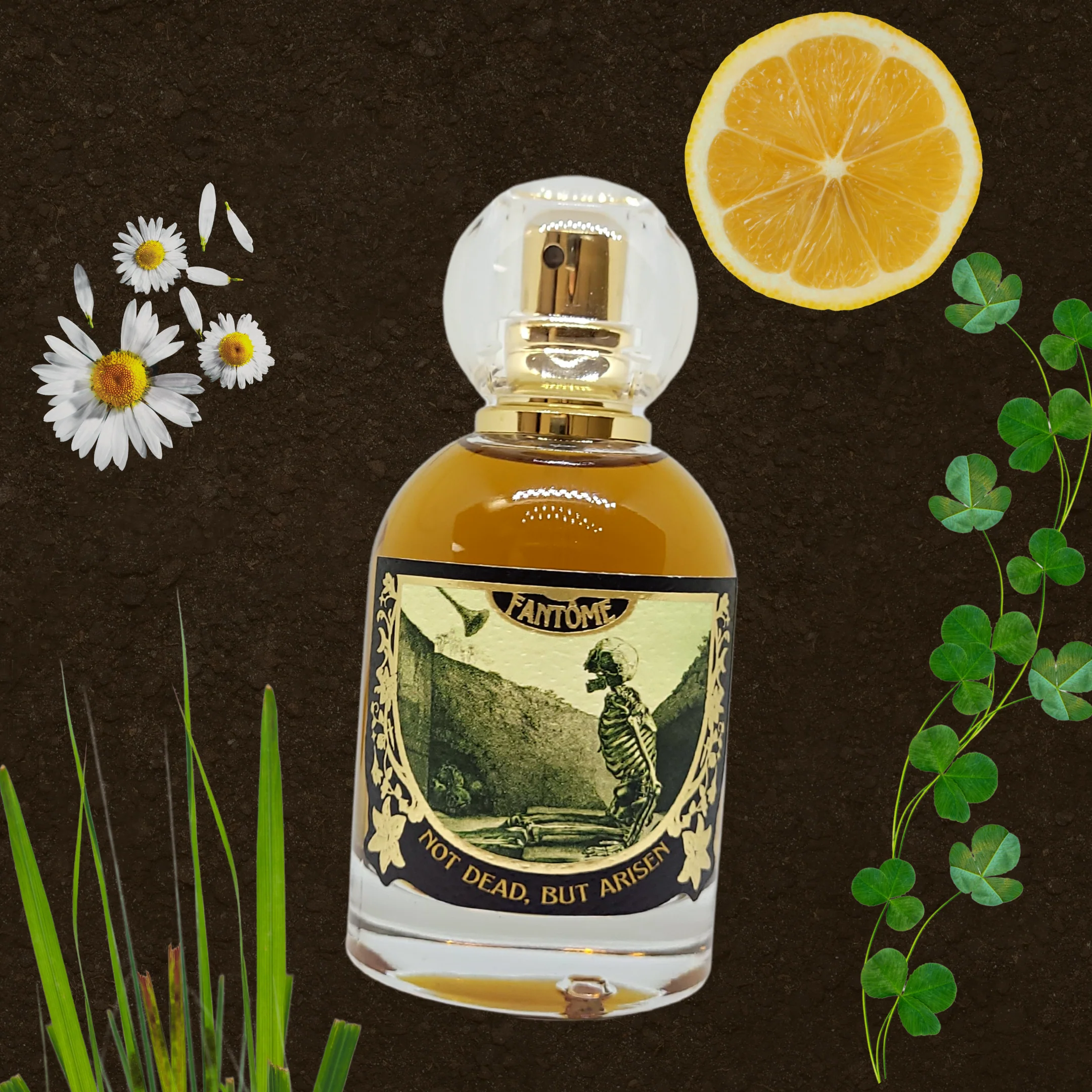 Not Dead, but Arisen Extrait de Parfum